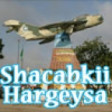 somali-singer-shacabkii-hargeysa