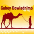 Gabey T7Gabey Dowladnimo