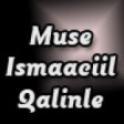 Qalam Jalam The Best Of Muse